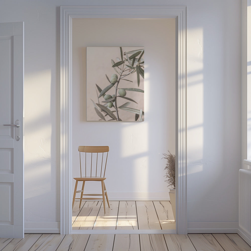 Olijven | Canvas