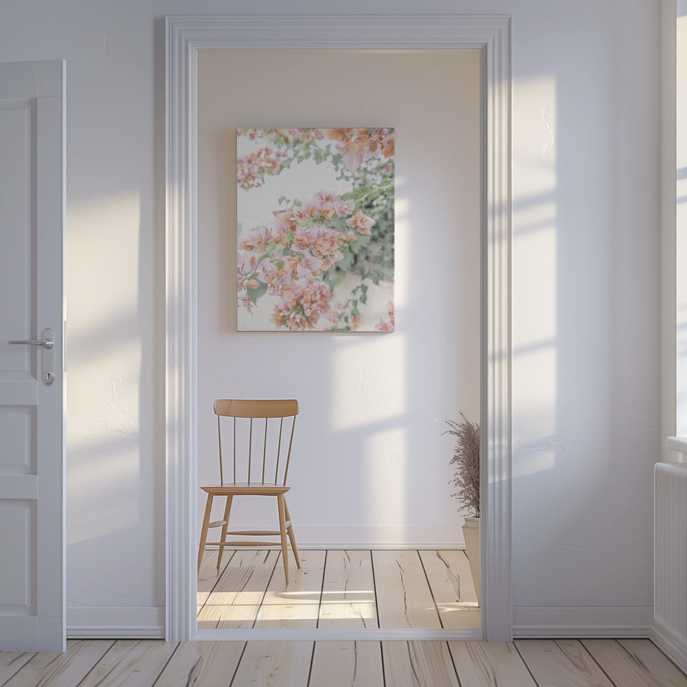 Perzik Bougainvillea | Canvas