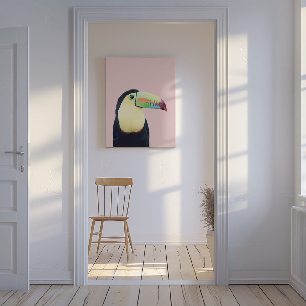 Toekan op roze | Canvas