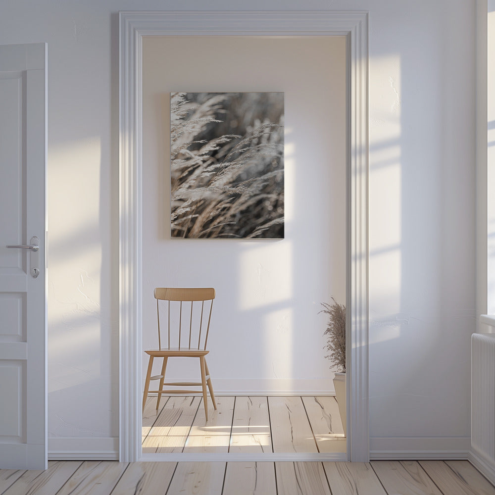 Gras 28 | Canvas