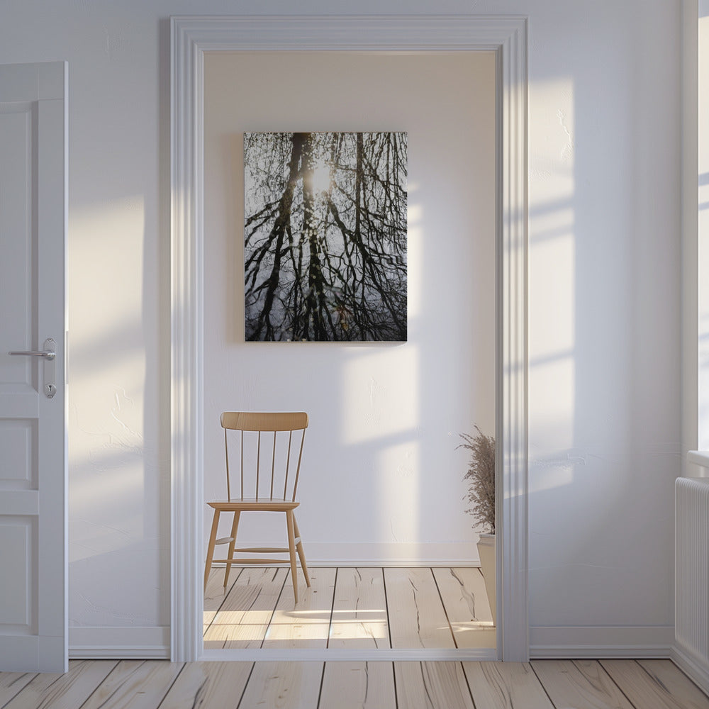 Winterreflecties 4 | Canvas