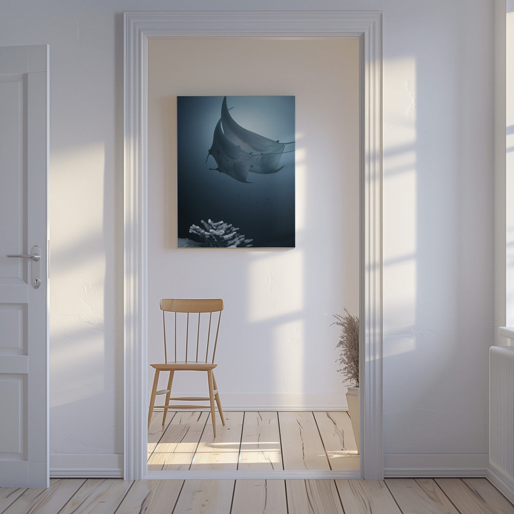 Sonate | Canvas