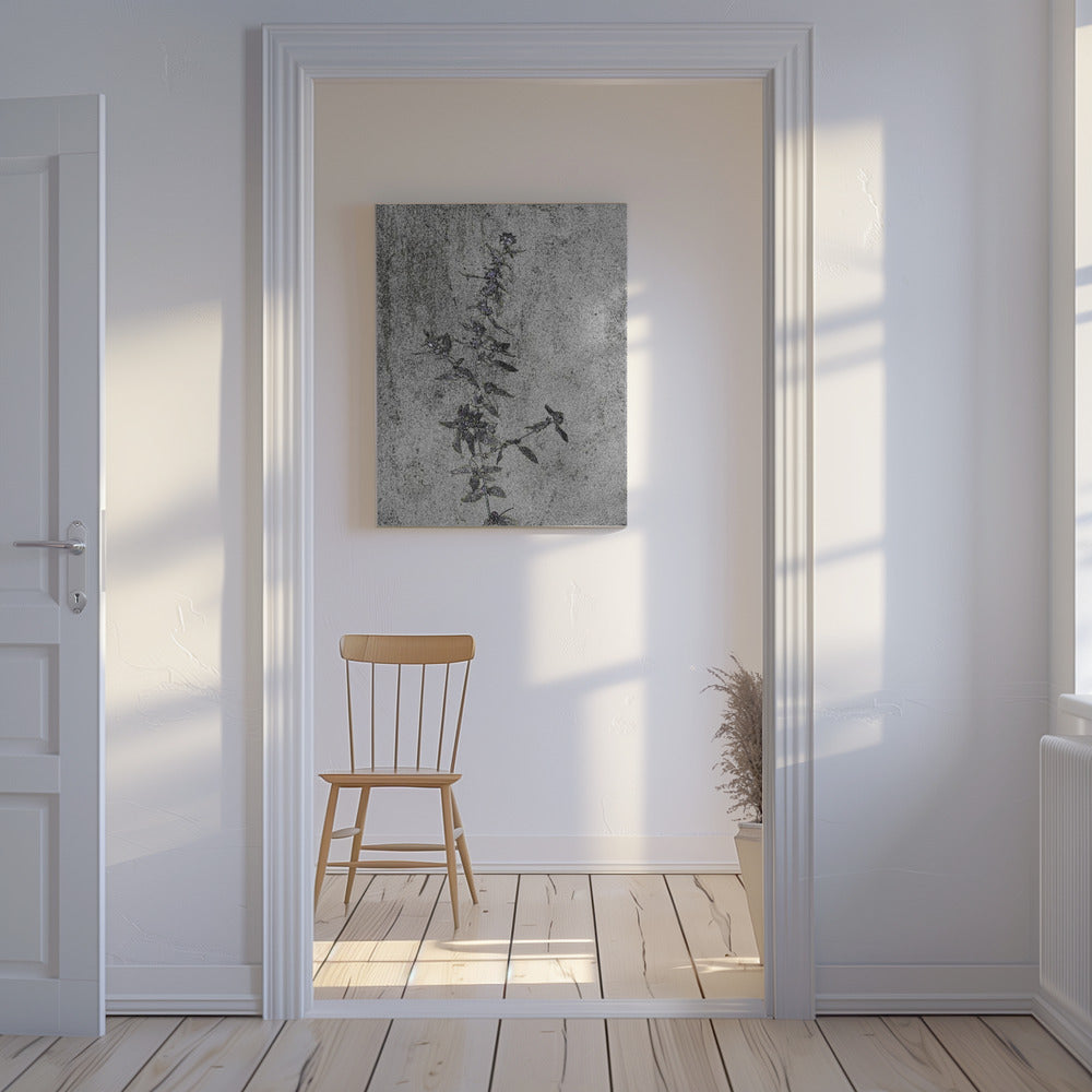 Betonnen bloesems | Canvas