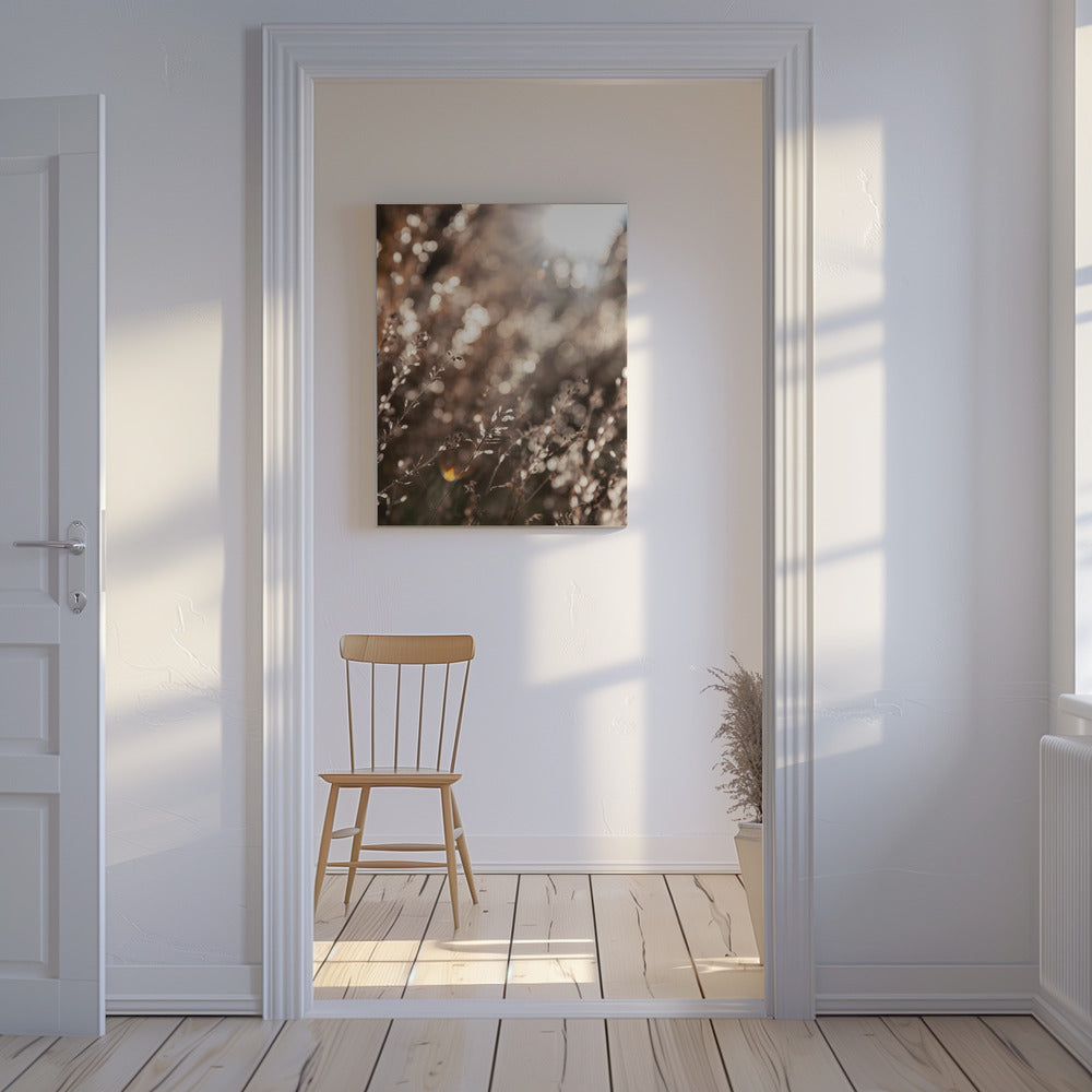 Warm Winterlicht 6 | Canvas
