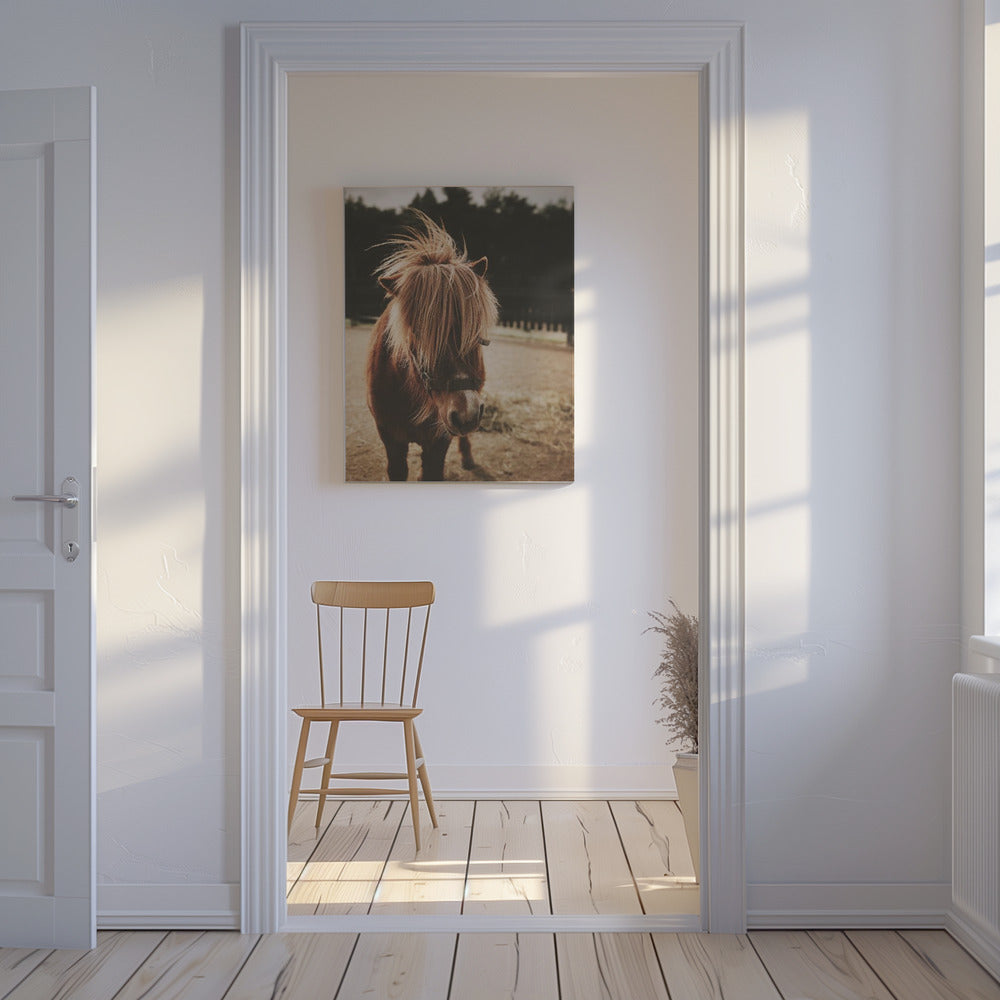 Pony met een ruige manen | Canvas