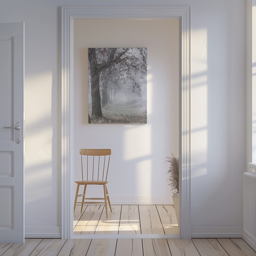 Mistige winterochtend 3 | Canvas