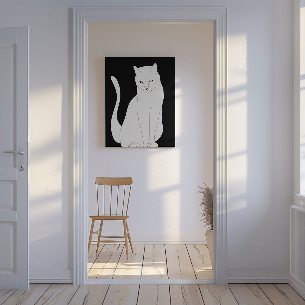 Witte en zwarte kat | Canvas