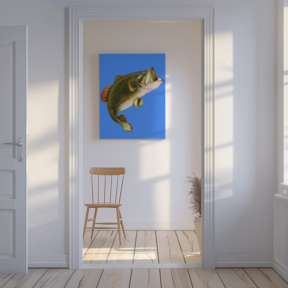 Basvis | Canvas