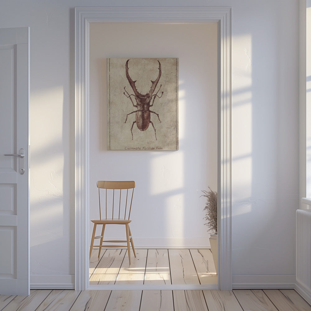 Antieke Kever Illustratie | Canvas