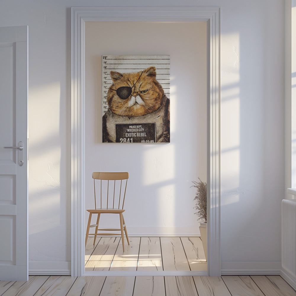 Grappige kat | Canvas