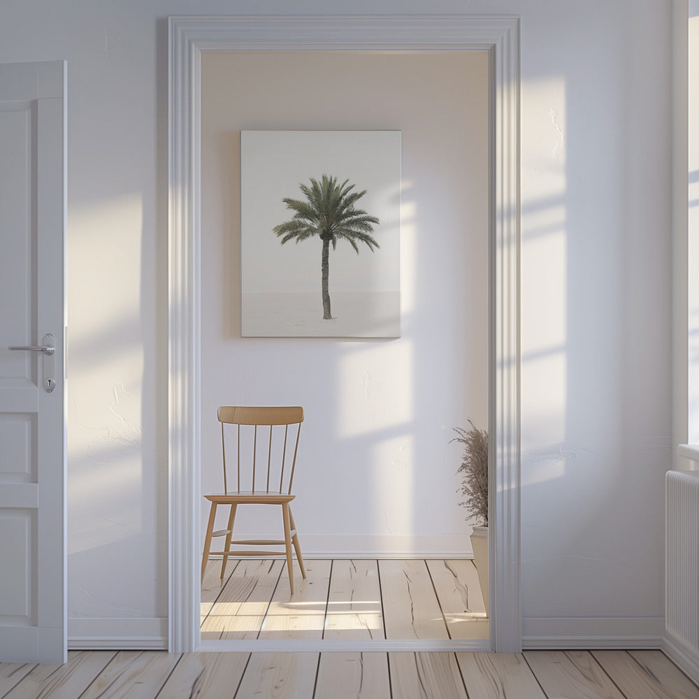 Palm | Canvas