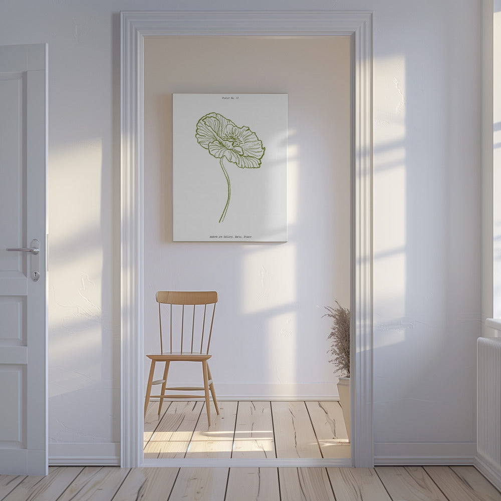Schets van een bleke klaproos | Canvas