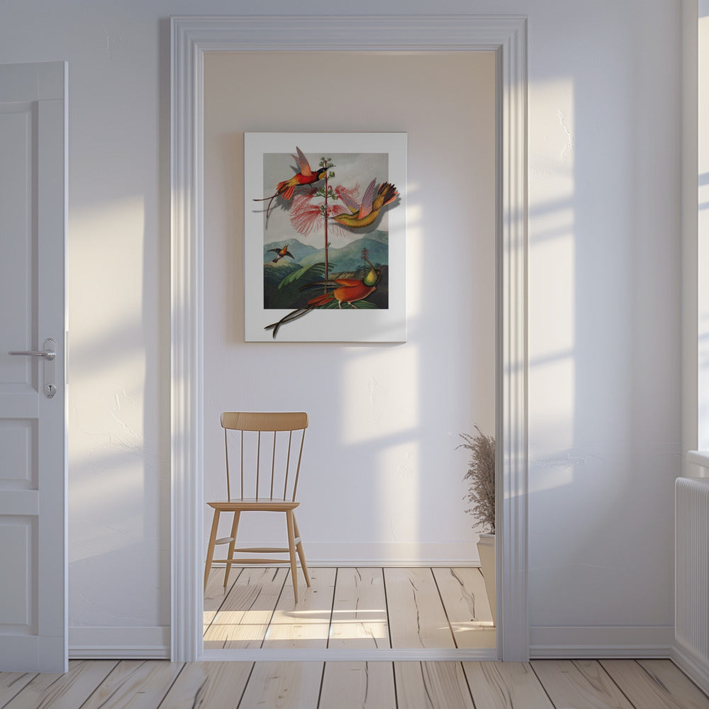 Mimosa Grandiflora | Canvas