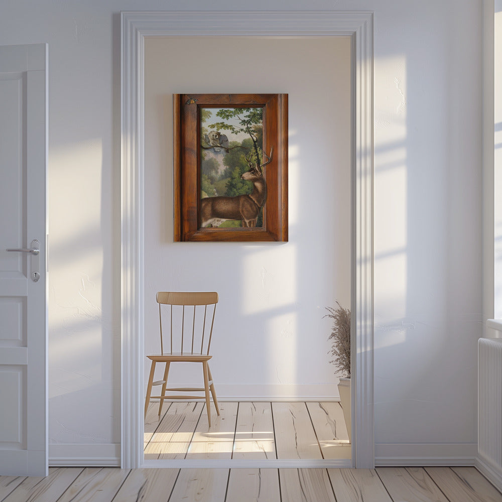 Verhalen over uilen en herten | Canvas