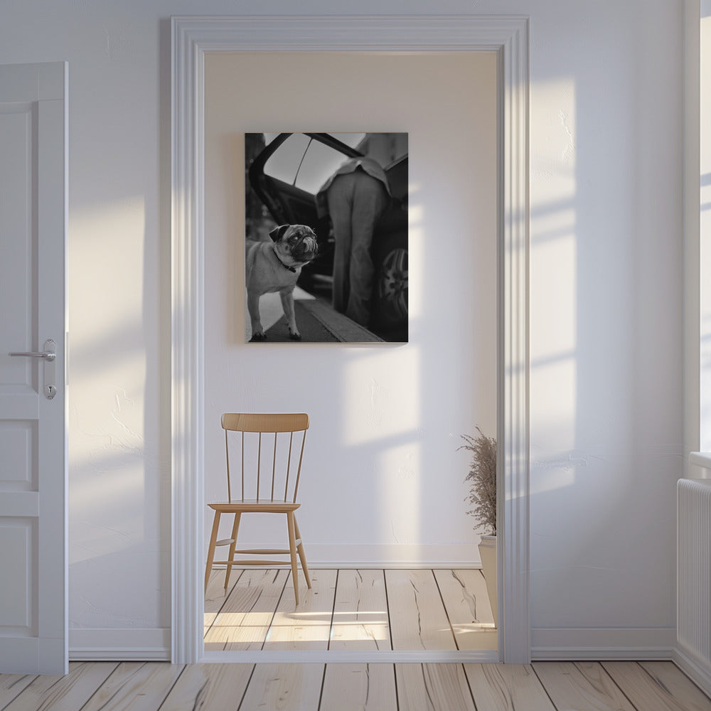 Zonder titel | Canvas