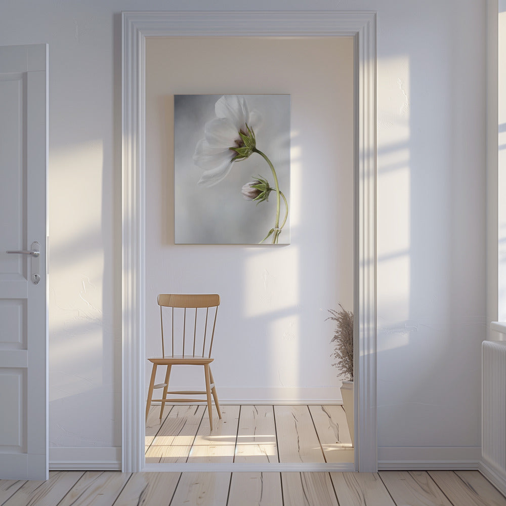 Hemelse Kosmos | Canvas