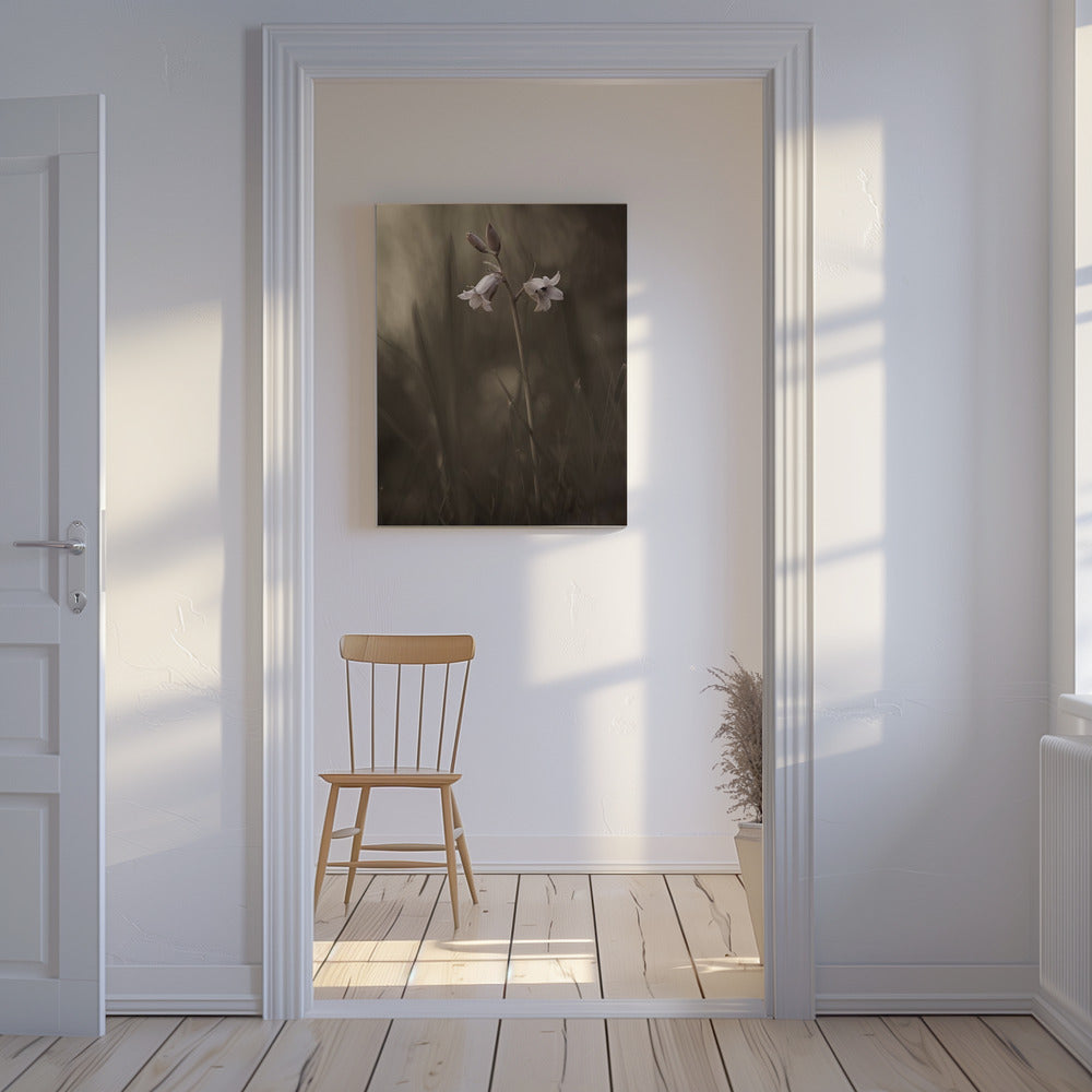 Een klein bloemetje op de grond | Canvas
