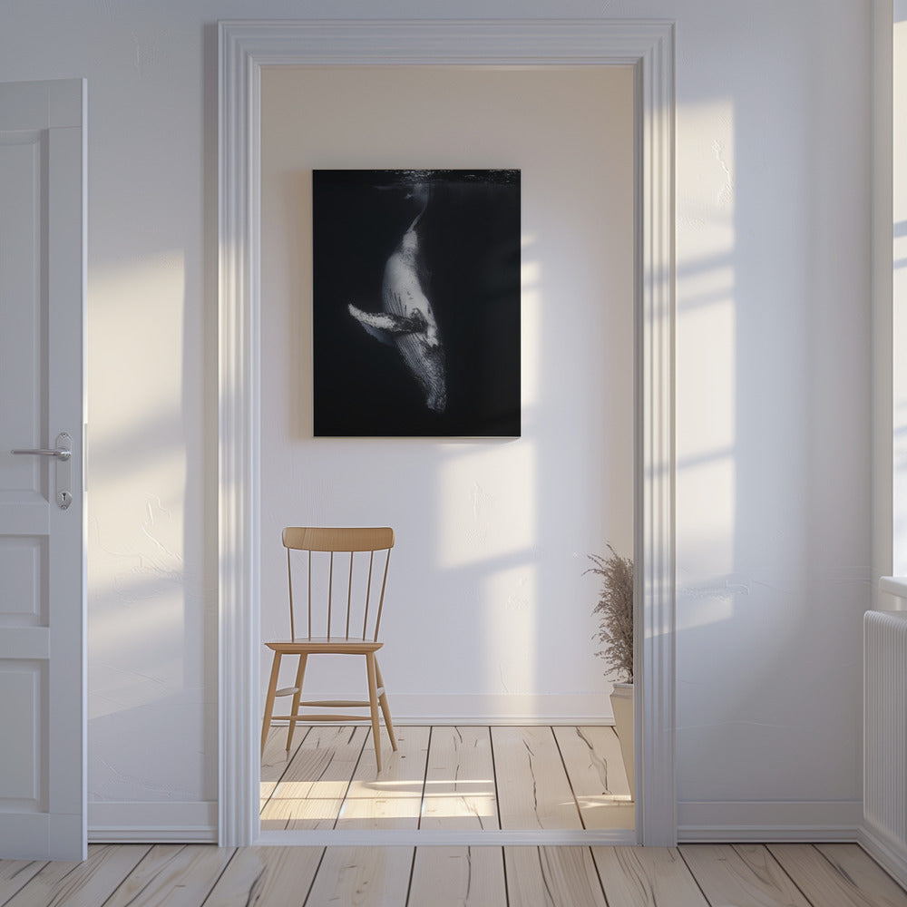 Zwarte Walvis | Canvas