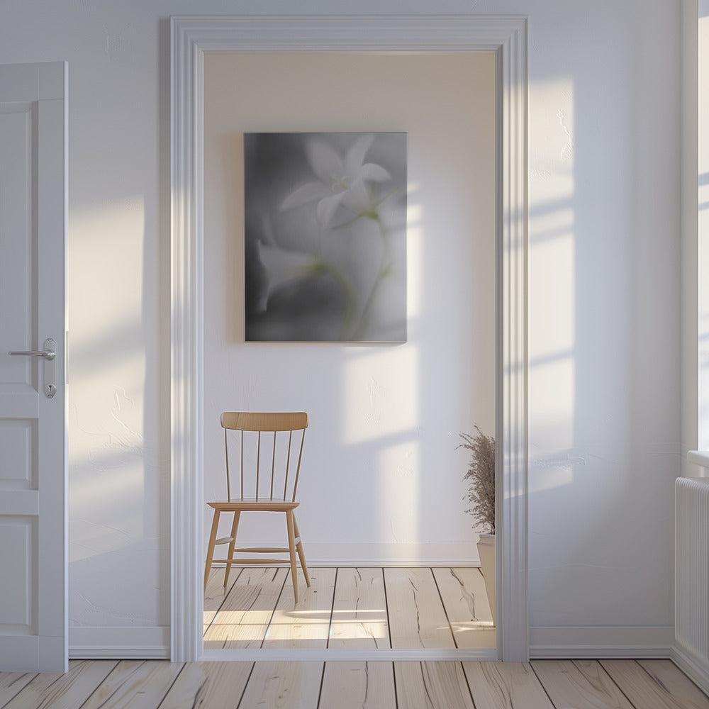 Bellen | Canvas