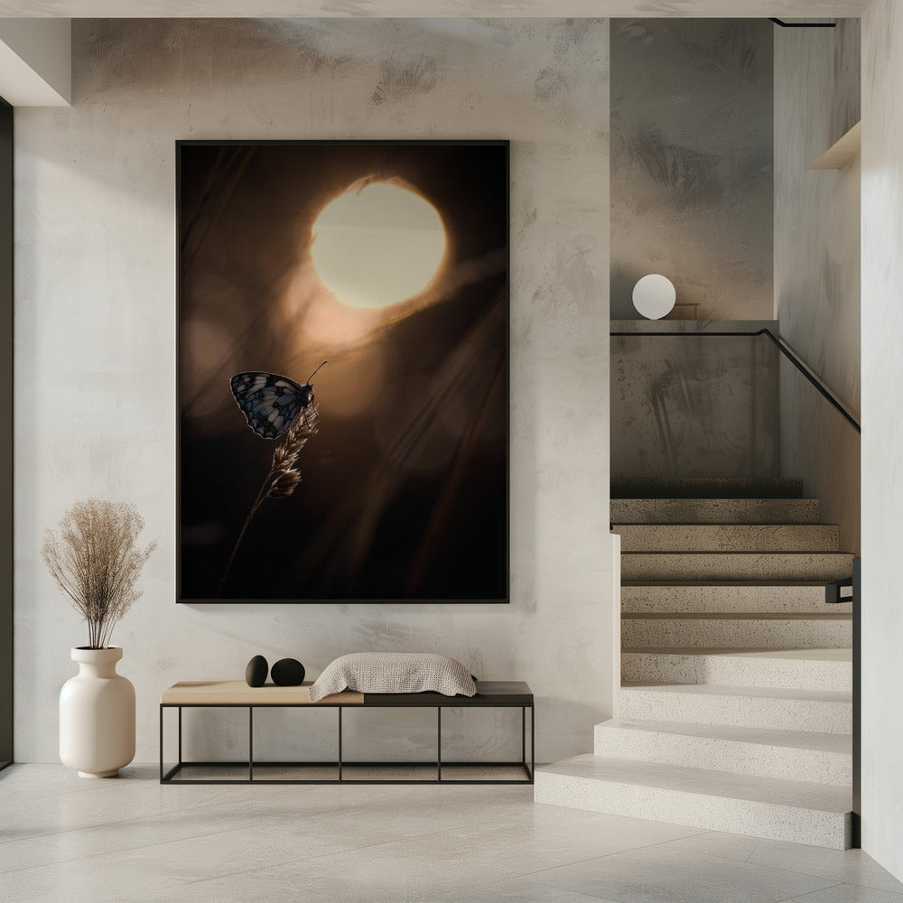 Communie met les astres | Poster
