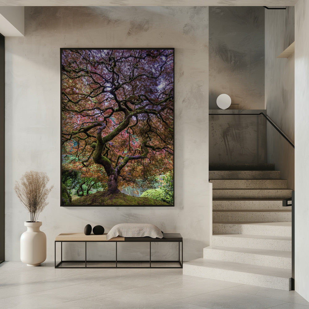 Japanse esdoorn | Poster