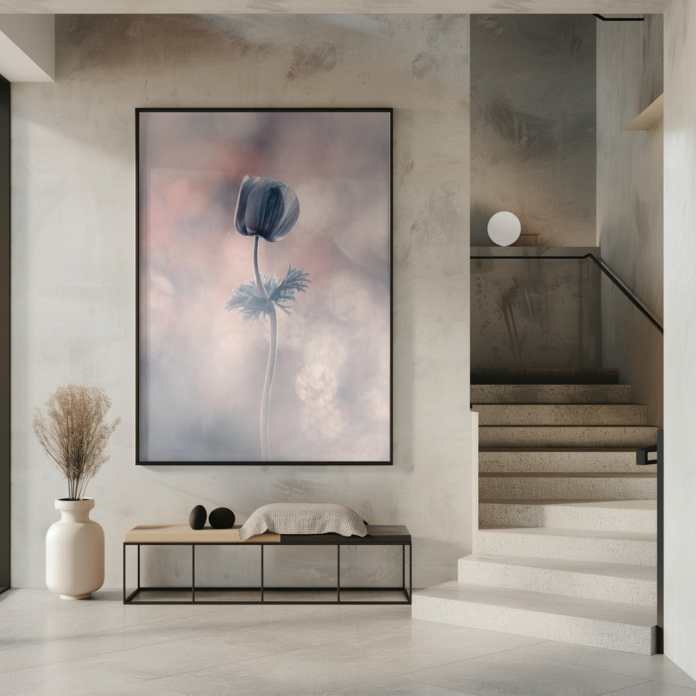 Soliste | Poster