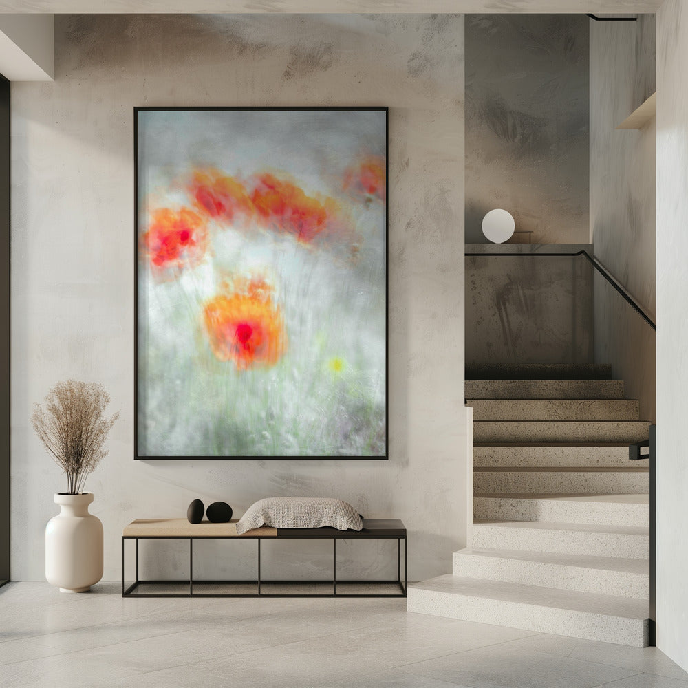 Rode korenbloemen | Poster