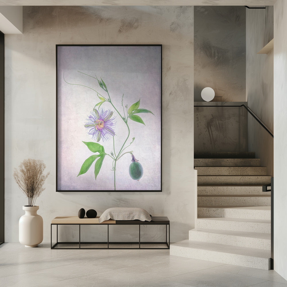 Passievrucht | Poster