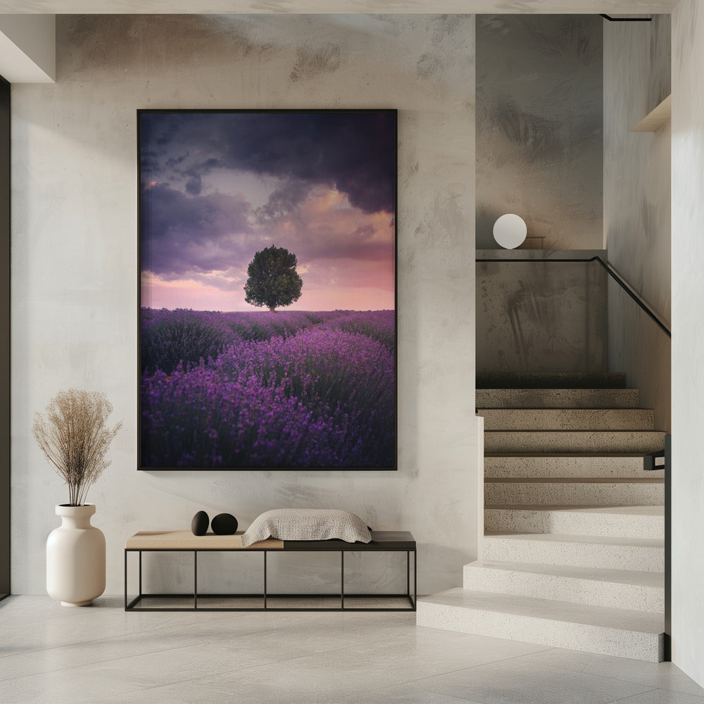 Lavendelvelden, Isparta | Poster