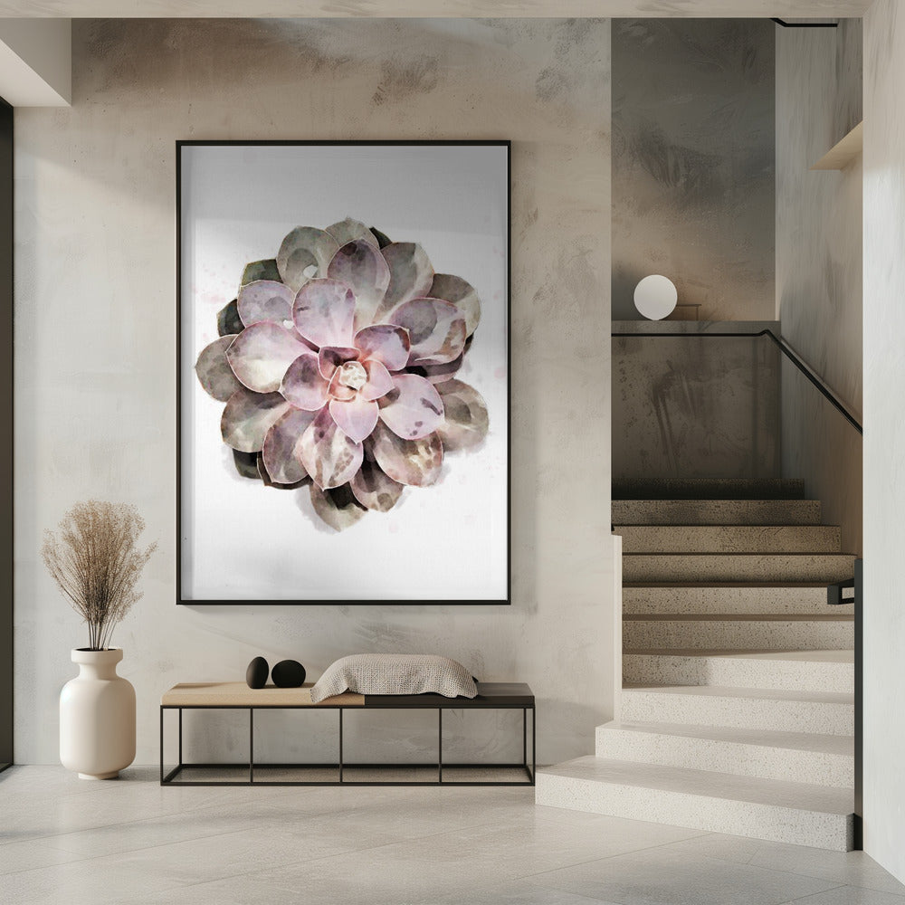 Succulent 01 | Poster