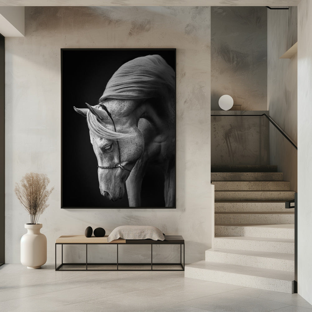 white stallion | Poster