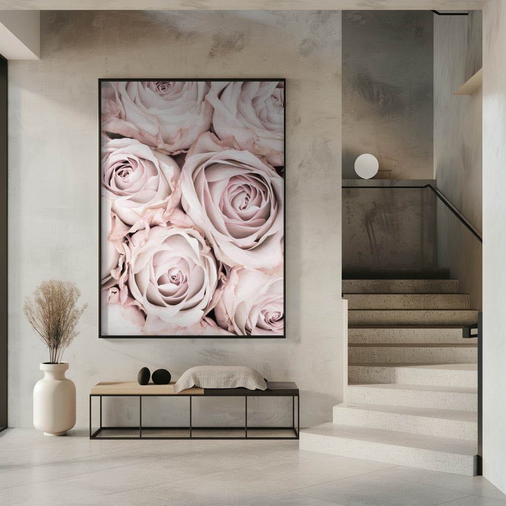 Roze Rozen Nr. 01 | Poster