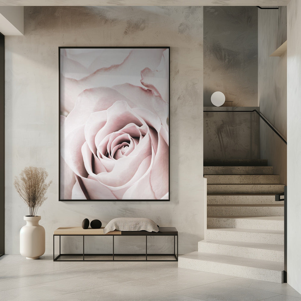 Roze Roos nr. 05 | Poster
