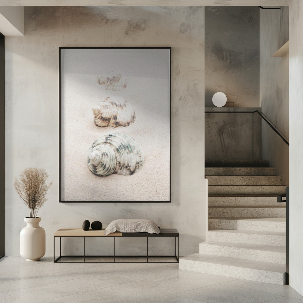 Schelpen | Poster