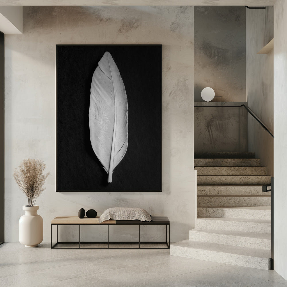 Feather_008 | Poster