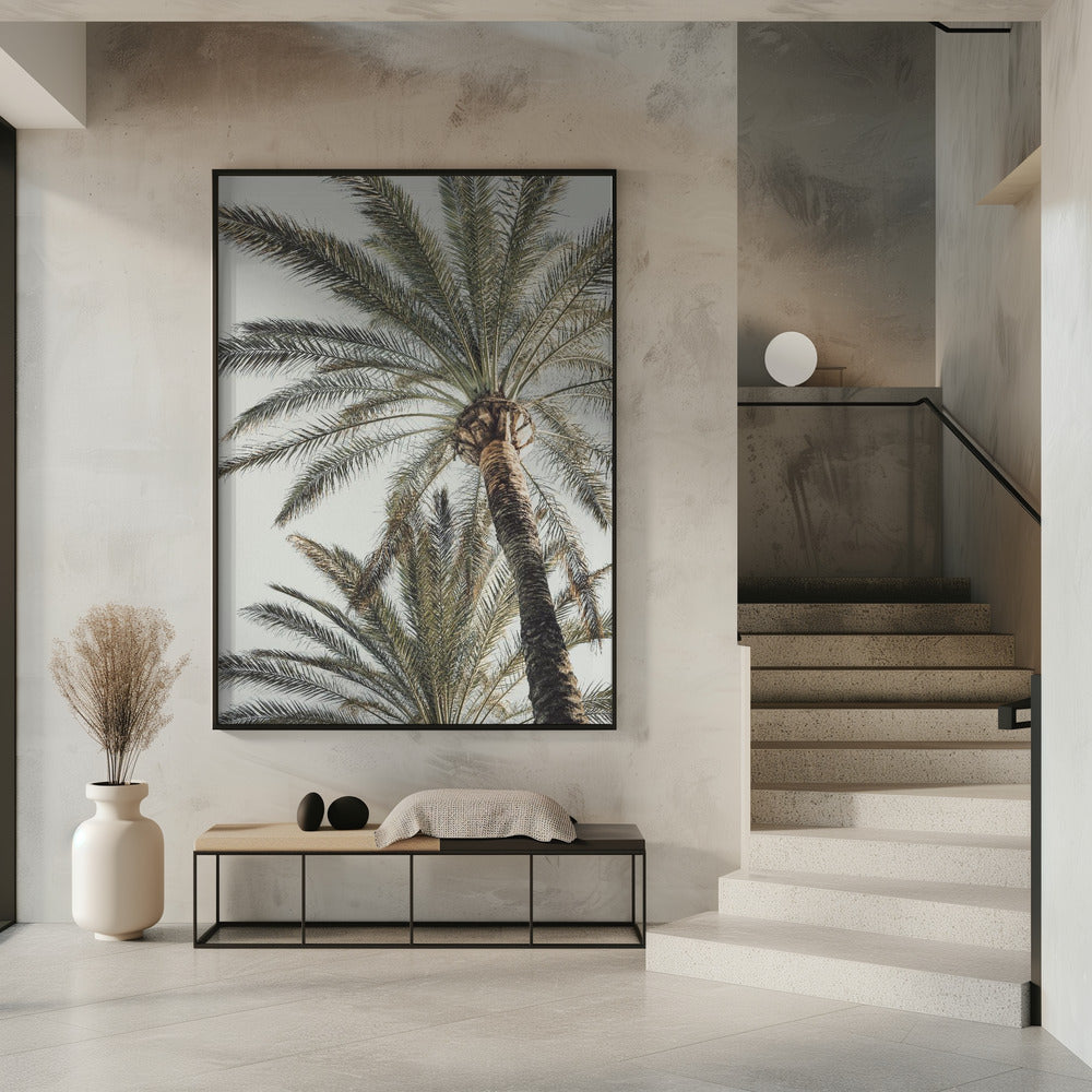 Palm_005 | Poster