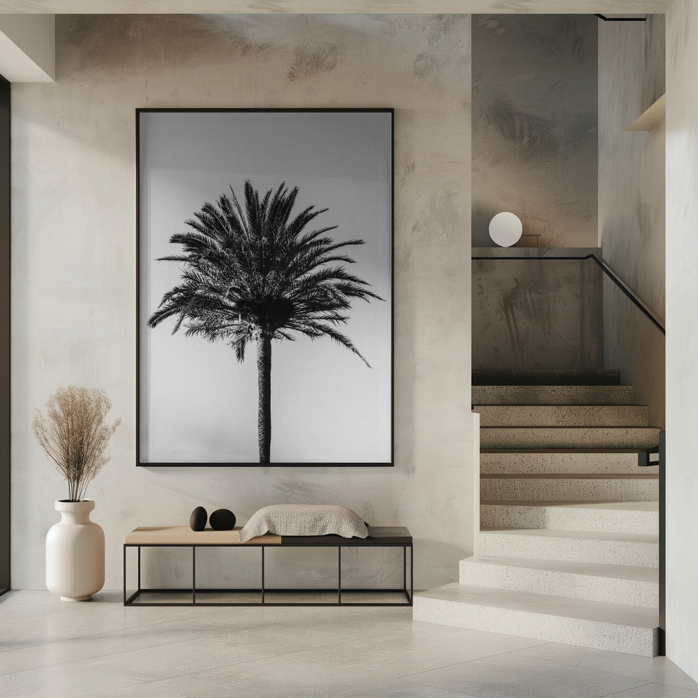 Palm_003 | Poster