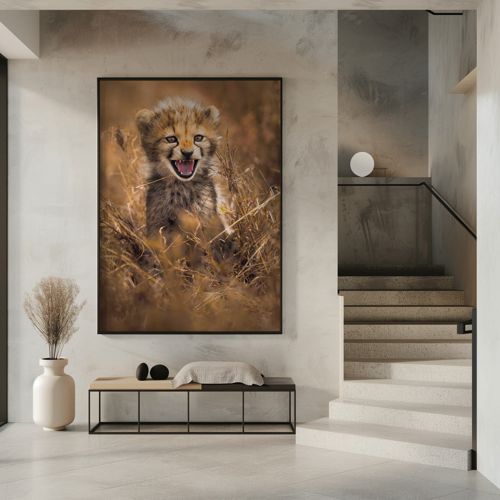 Grote glimlach | Poster