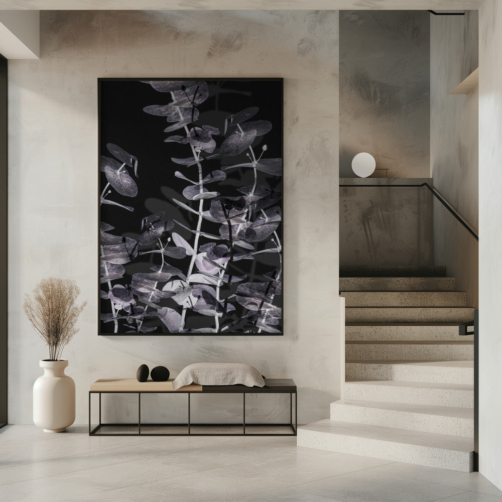 Eucalyptus_Negatief_002 | Poster