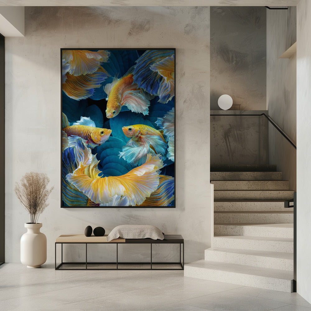 KleurVis | Poster