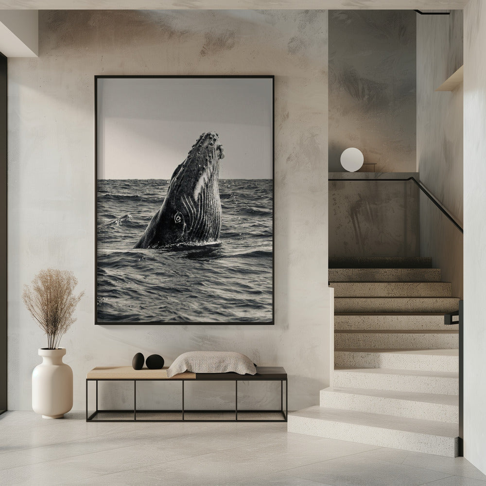 Geheim van de Walvis | Poster