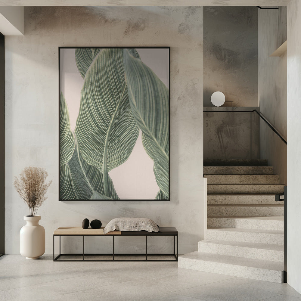 Calla-blad | Poster