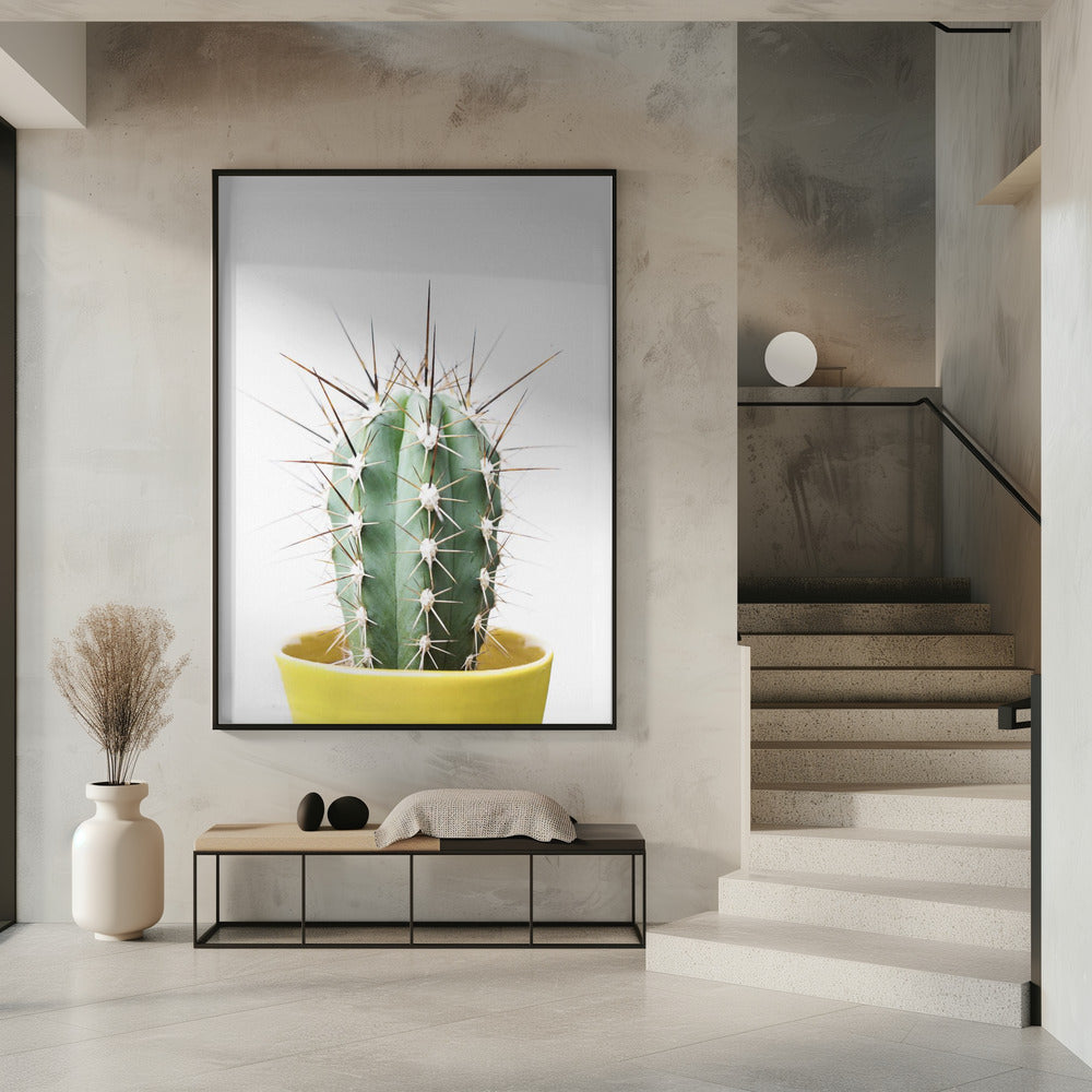 Stekelige Cactus | Poster
