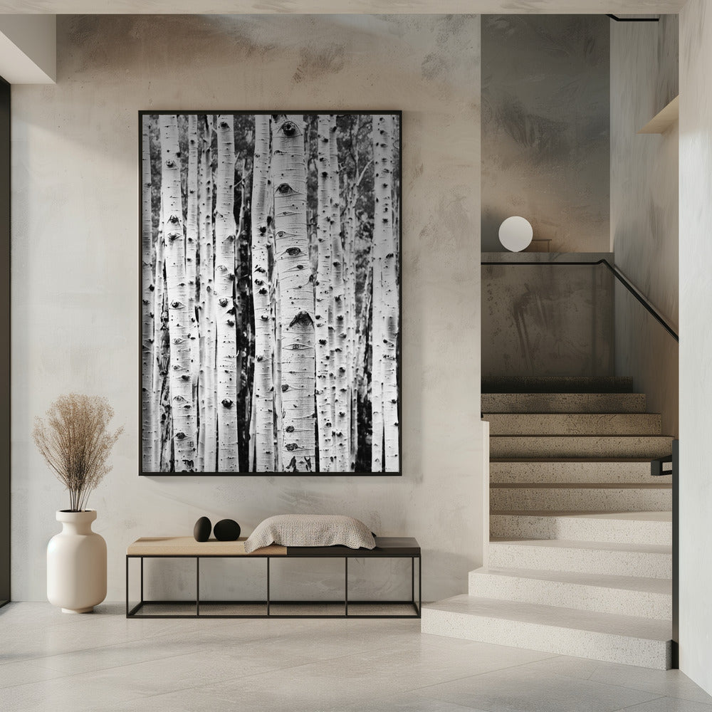 Berken | Poster