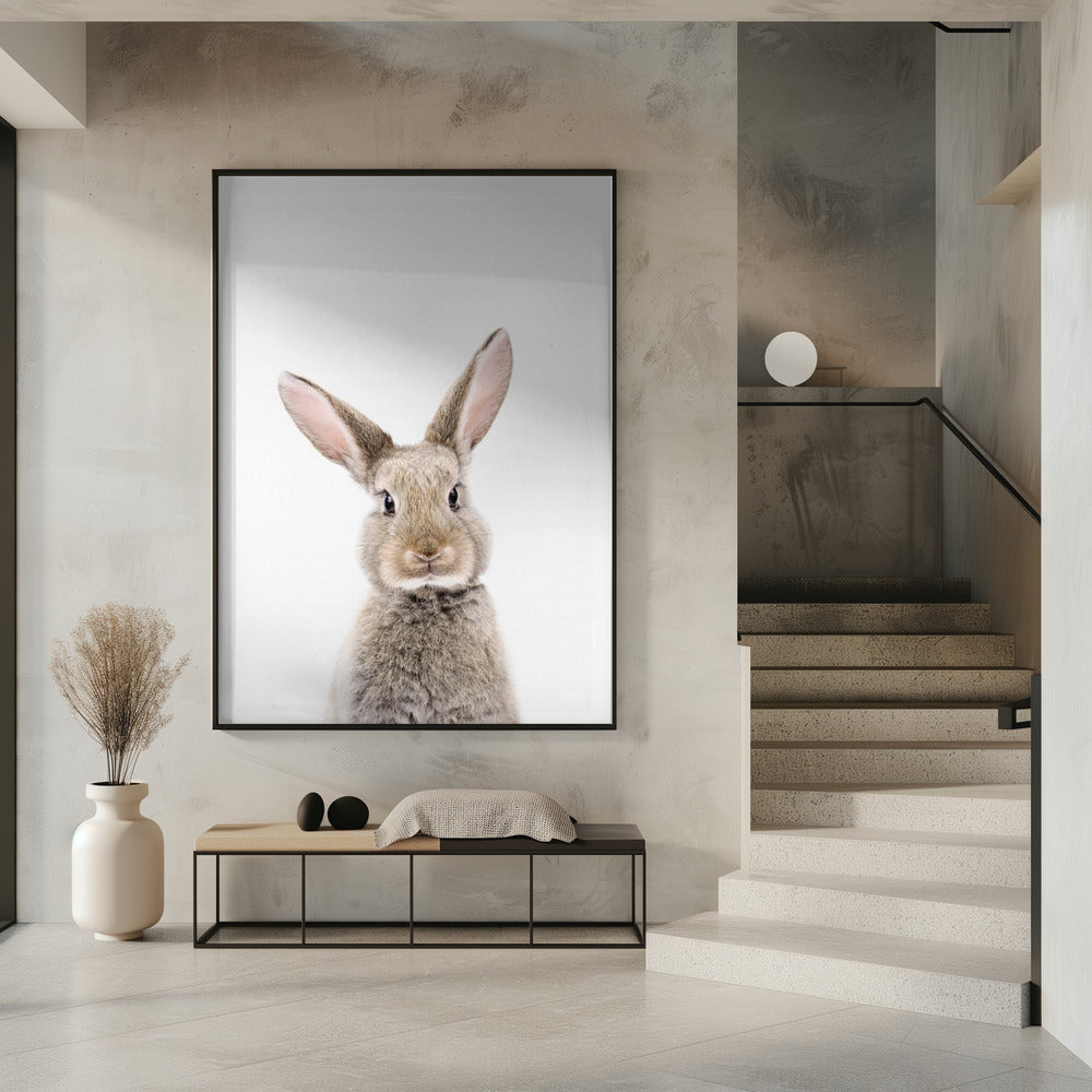 Babykonijn | Poster