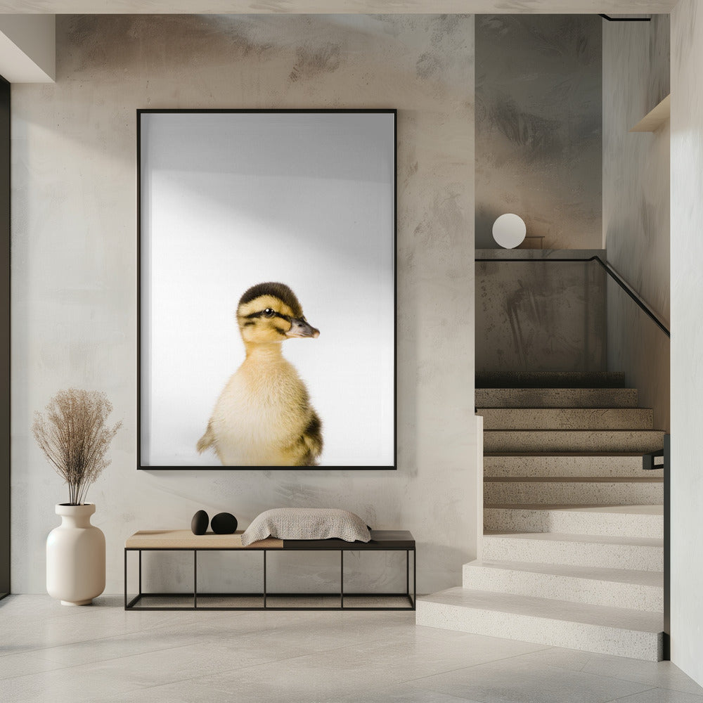 Baby Eend | Poster