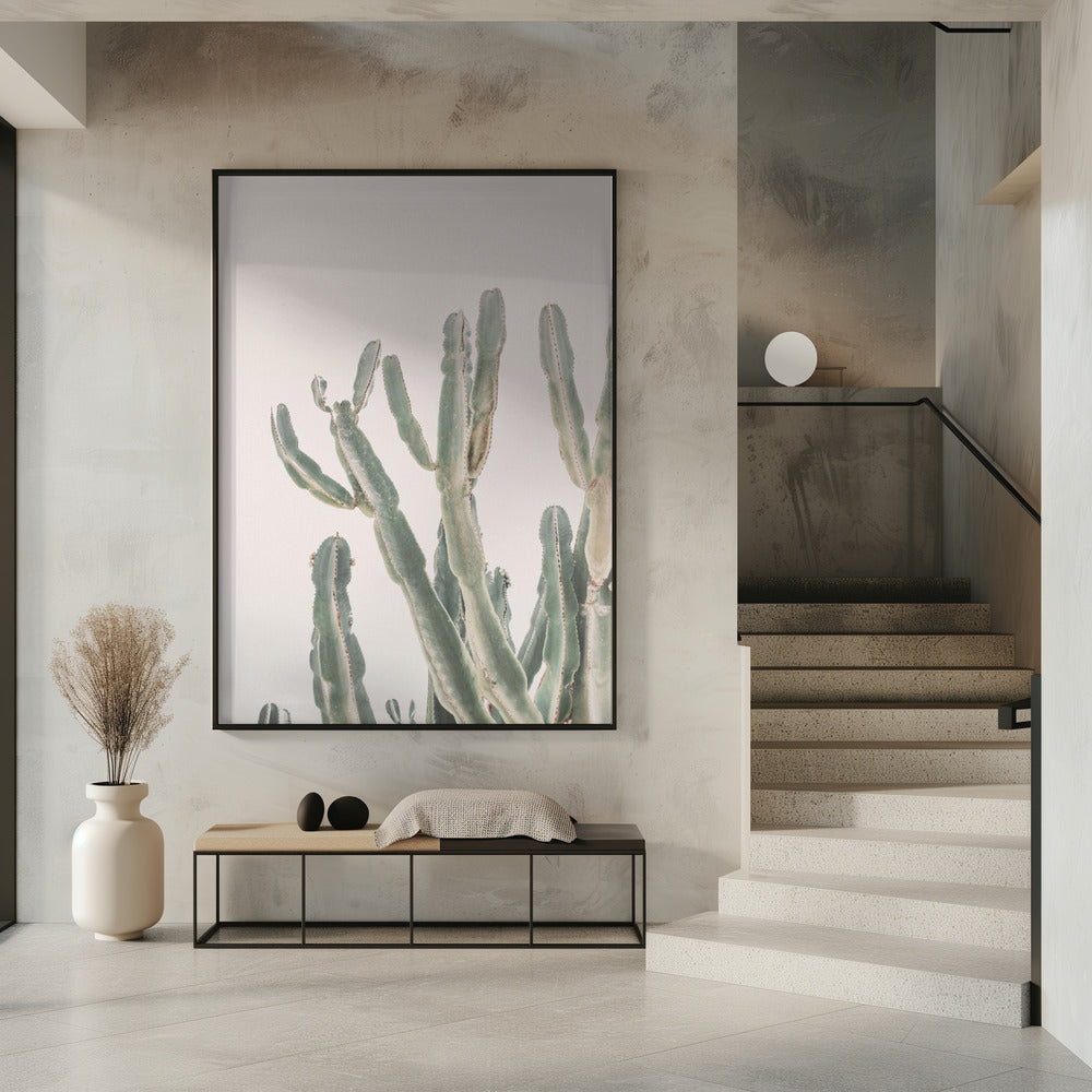 Zonsopgangcactus | Poster