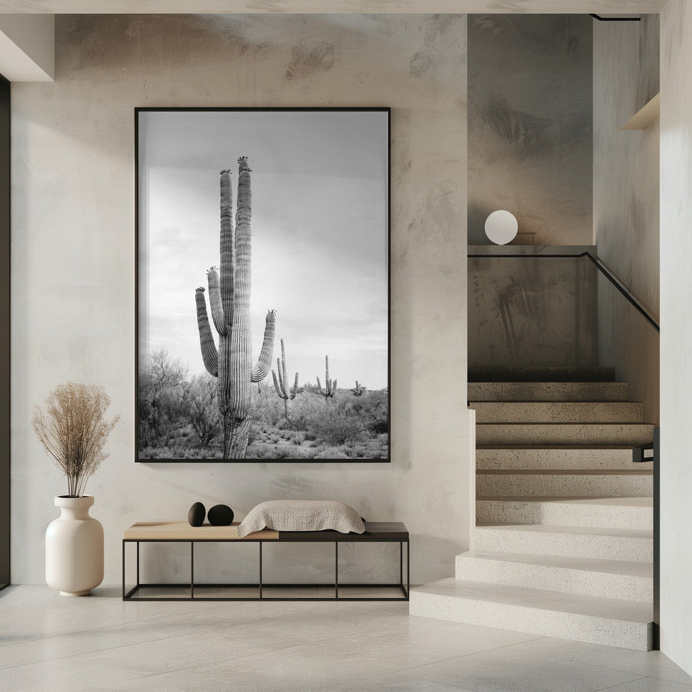 Saguaro Zwart-wit | Poster