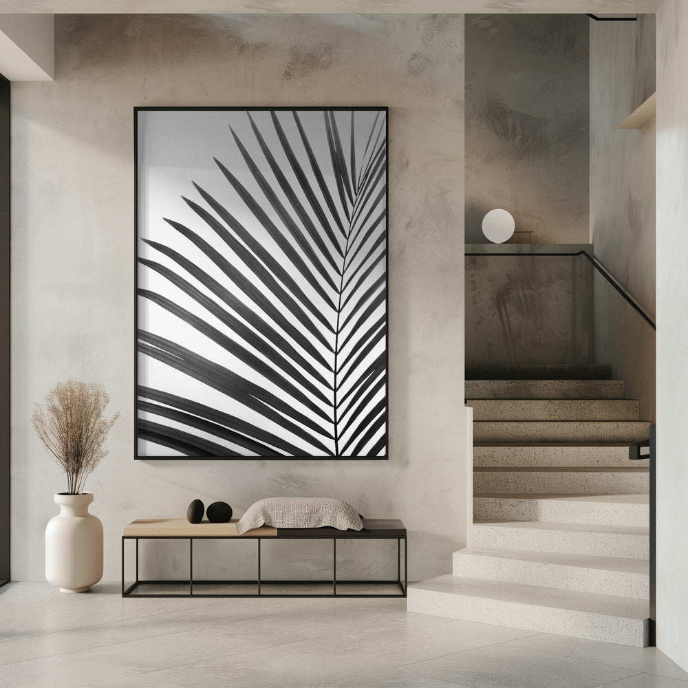 Zwart-wit palmblad | Poster