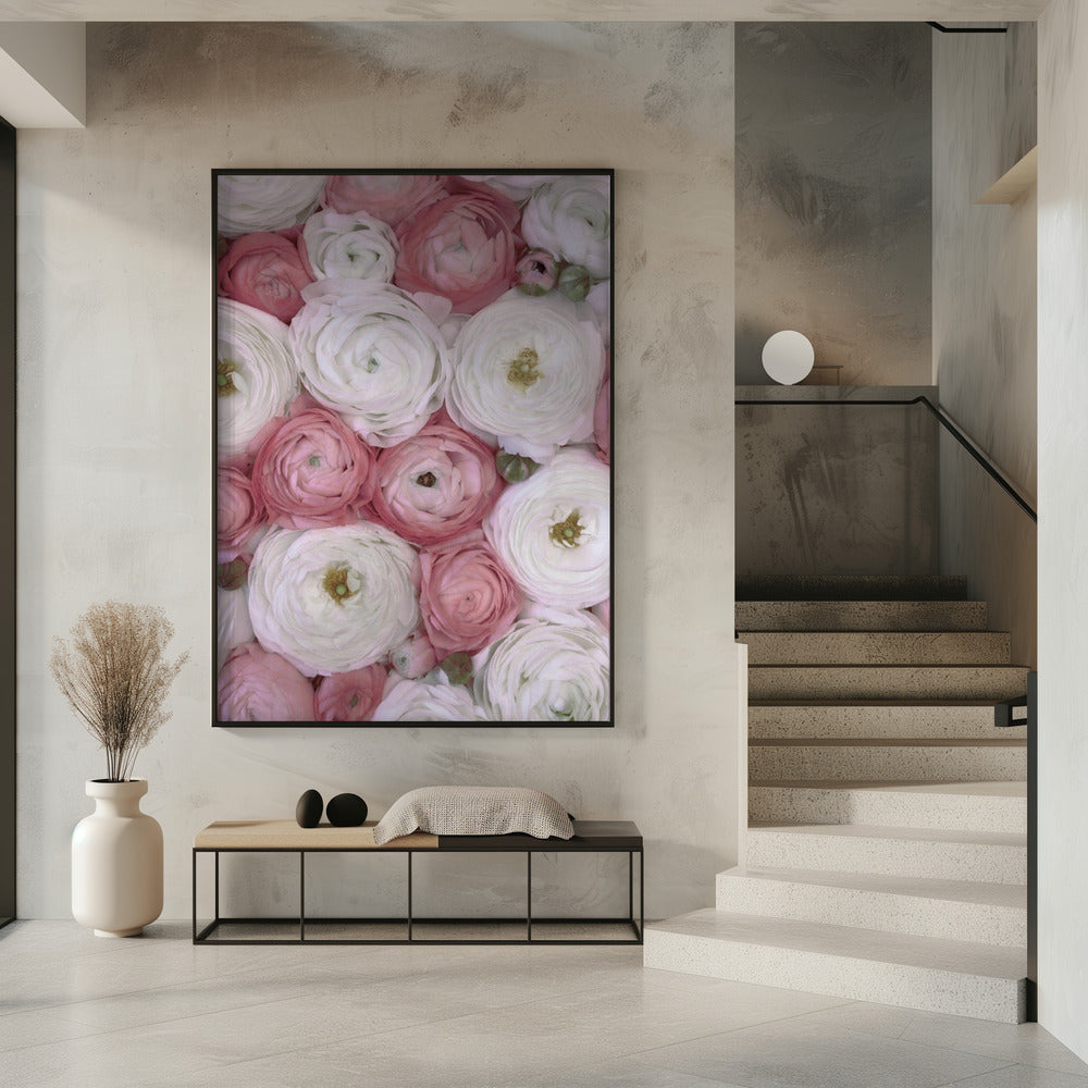 Verspreide ranonkel in gedempt roze II | Poster